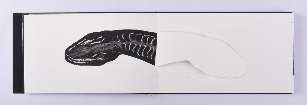 20. Linton Worm, akwaforta, akwatinta, odprysk, 21,5 x 73